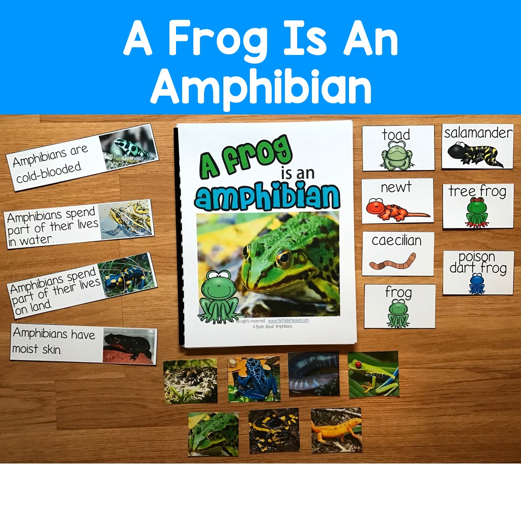 Amphibians Adapted Book (w/Real Photos)