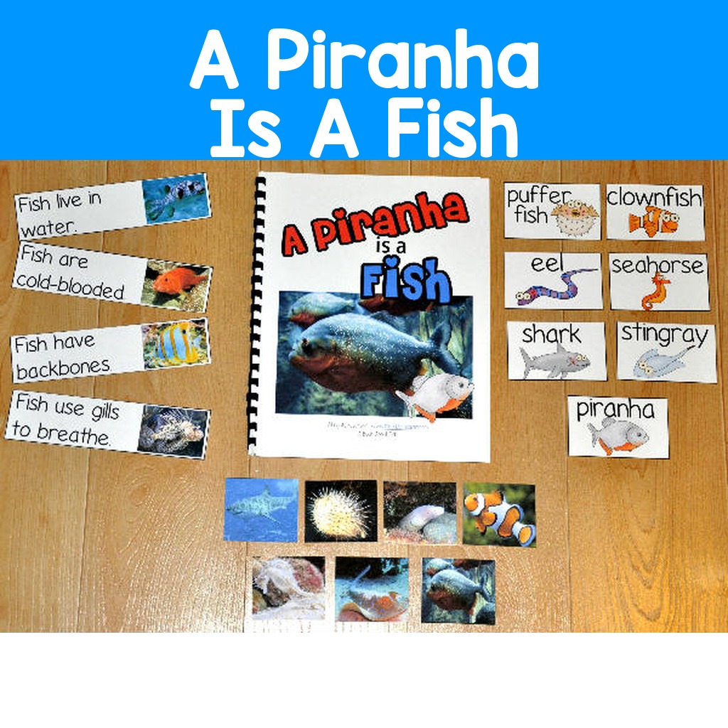 Fish Adapted Book--A Piranha is a Fish