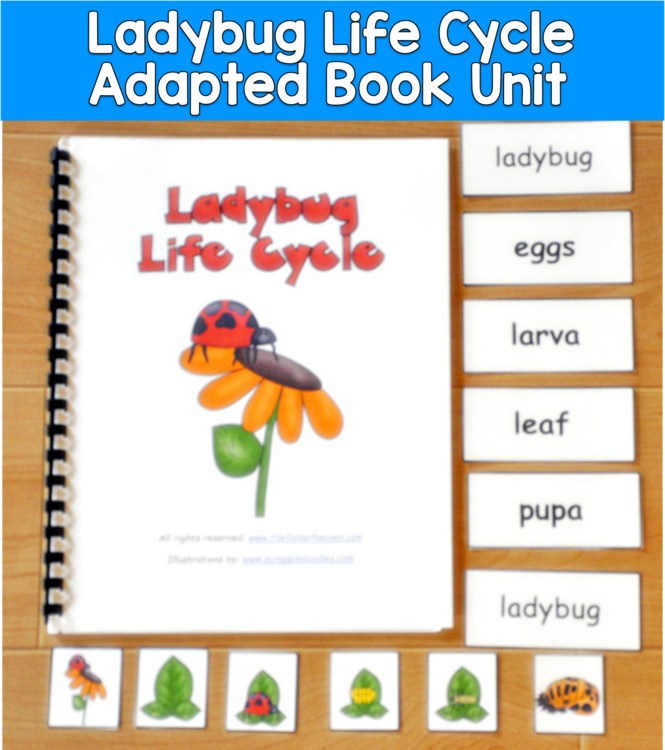 Ladybug Life Cycle Adapted Book Unit | Science Vocabulary | SLP SPED Autism