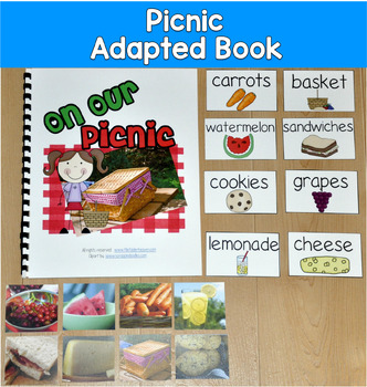 Picnic Adapted Book with Real Photos | On Our Picnic