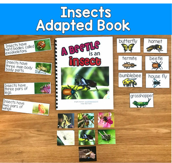 Insects Adapted Book--"A Beetle Is An Insect"