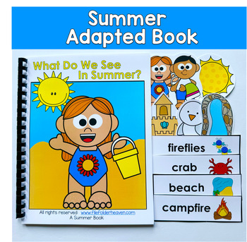 Summer Nouns Adapted Book | What Do We See in Summer?
