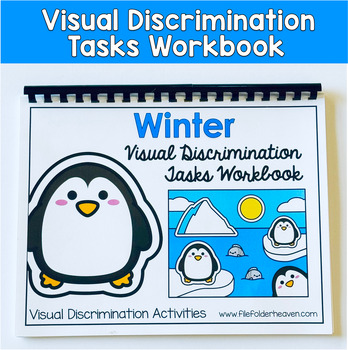Winter Visual Discrimination Tasks Workbook 2