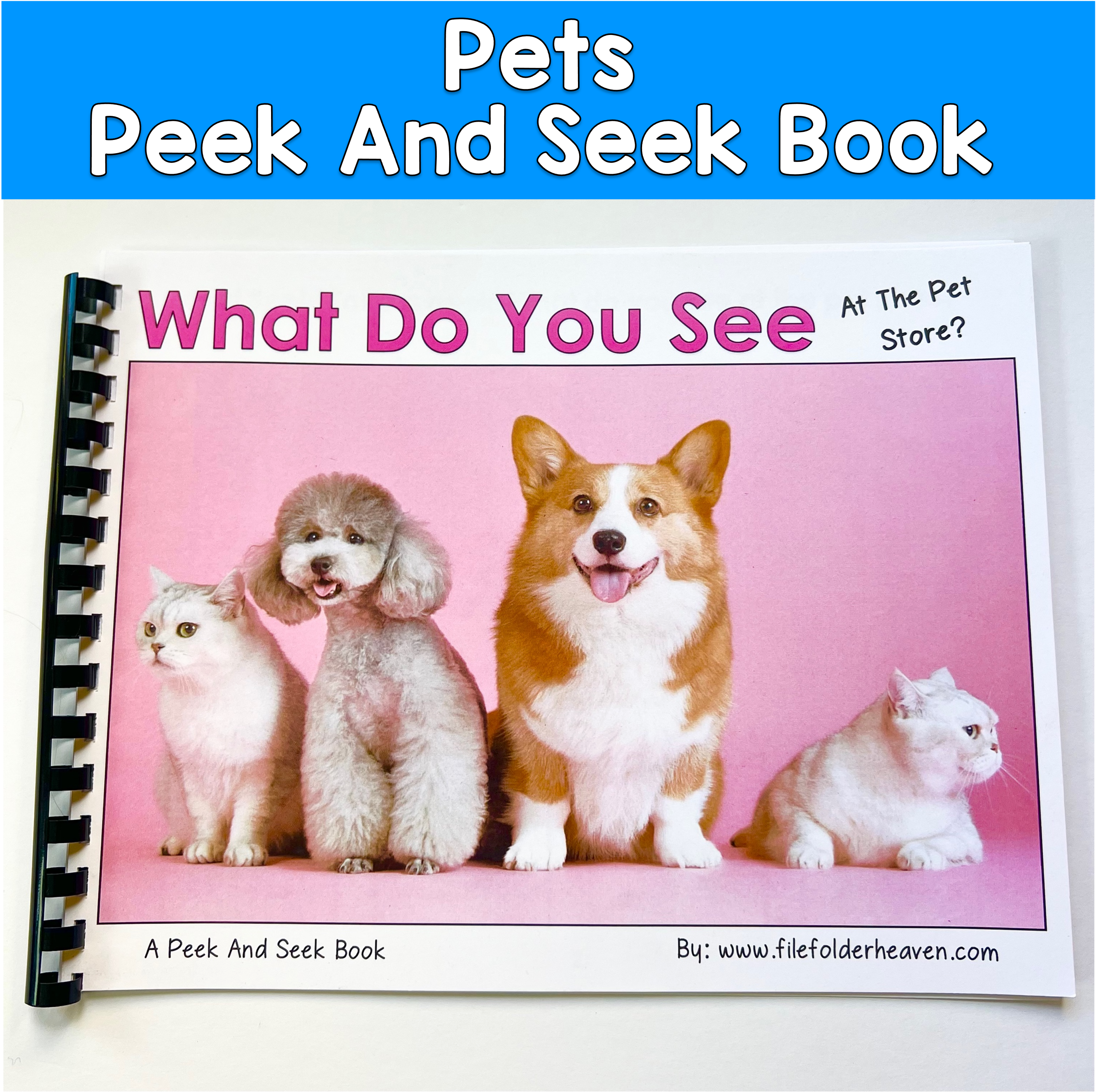 Pets Peek And Seek Adapted Book: WHAT DO YOU SEE AT A PET STORE