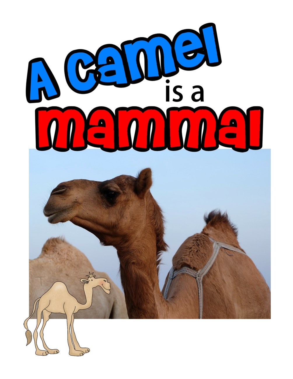 A Camel is a Mammal interactive adapted book