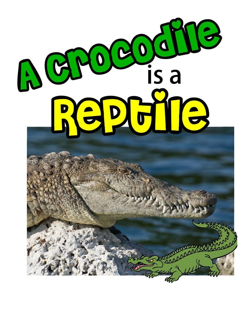 A Crocodile is a Reptile digital adapted book for special education