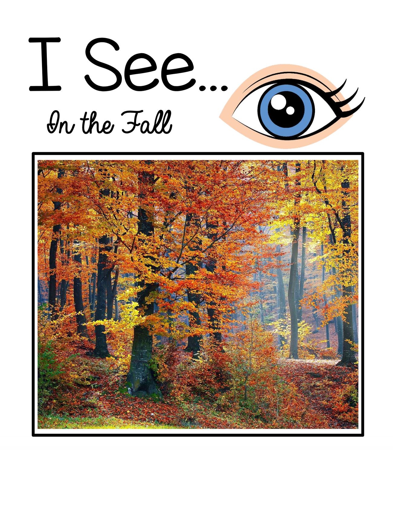 I See… In the Fall digital adapted book for special education