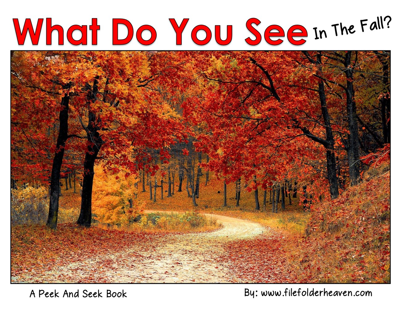 What Do You See In the Fall? interactive adapted book