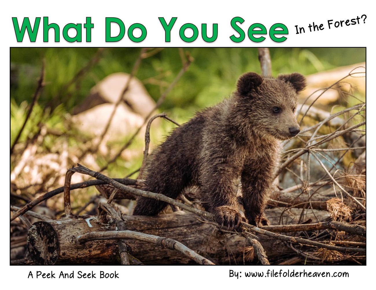 What Do You See In the Forest? interactive adapted book
