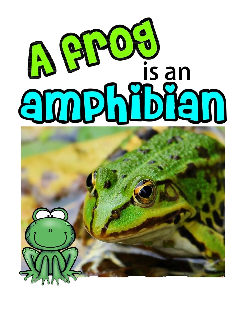 A Frog is an Amphibian digital adapted book for special education