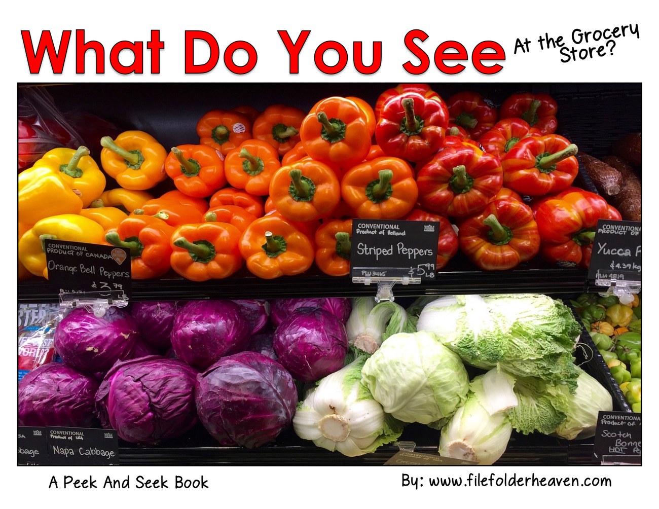 What Do You See At the Grocery Store? interactive adapted book