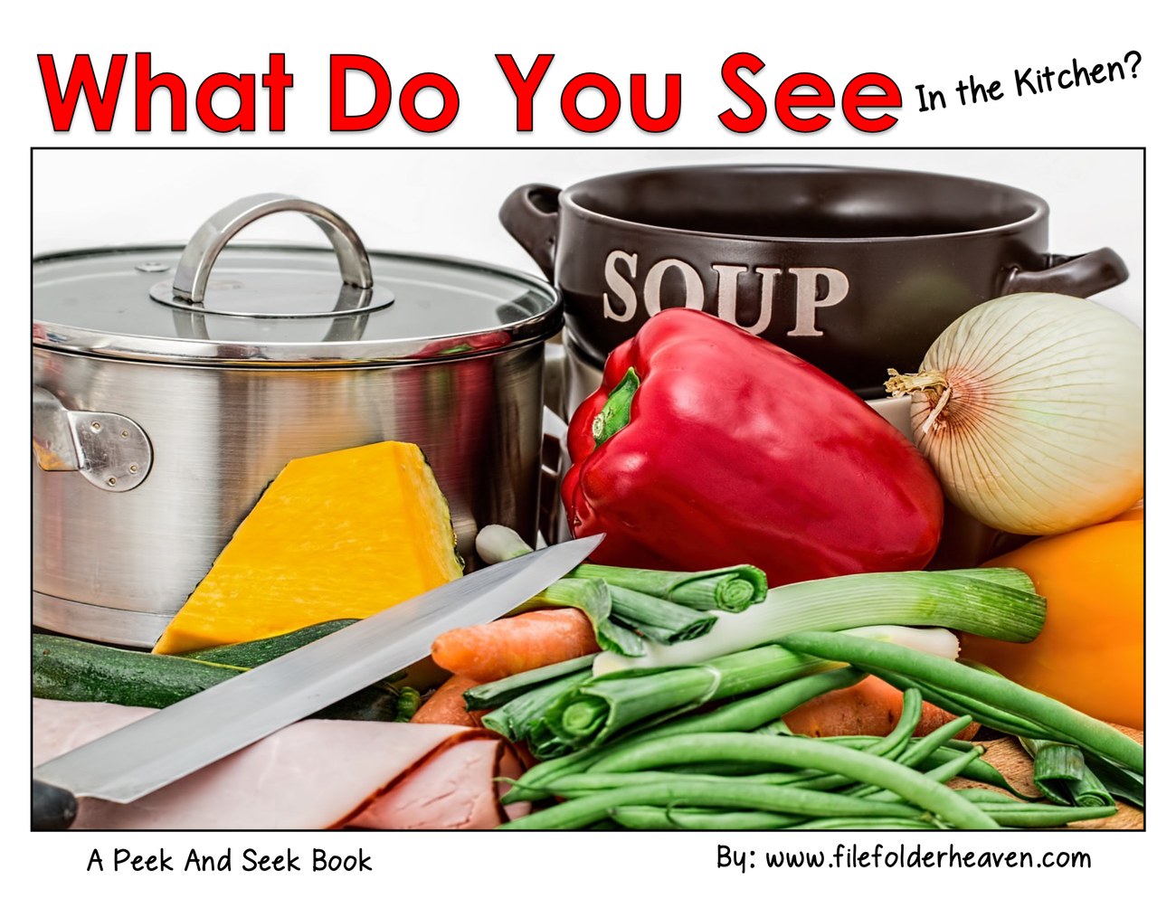What Do You See In the Kitchen? interactive adapted book