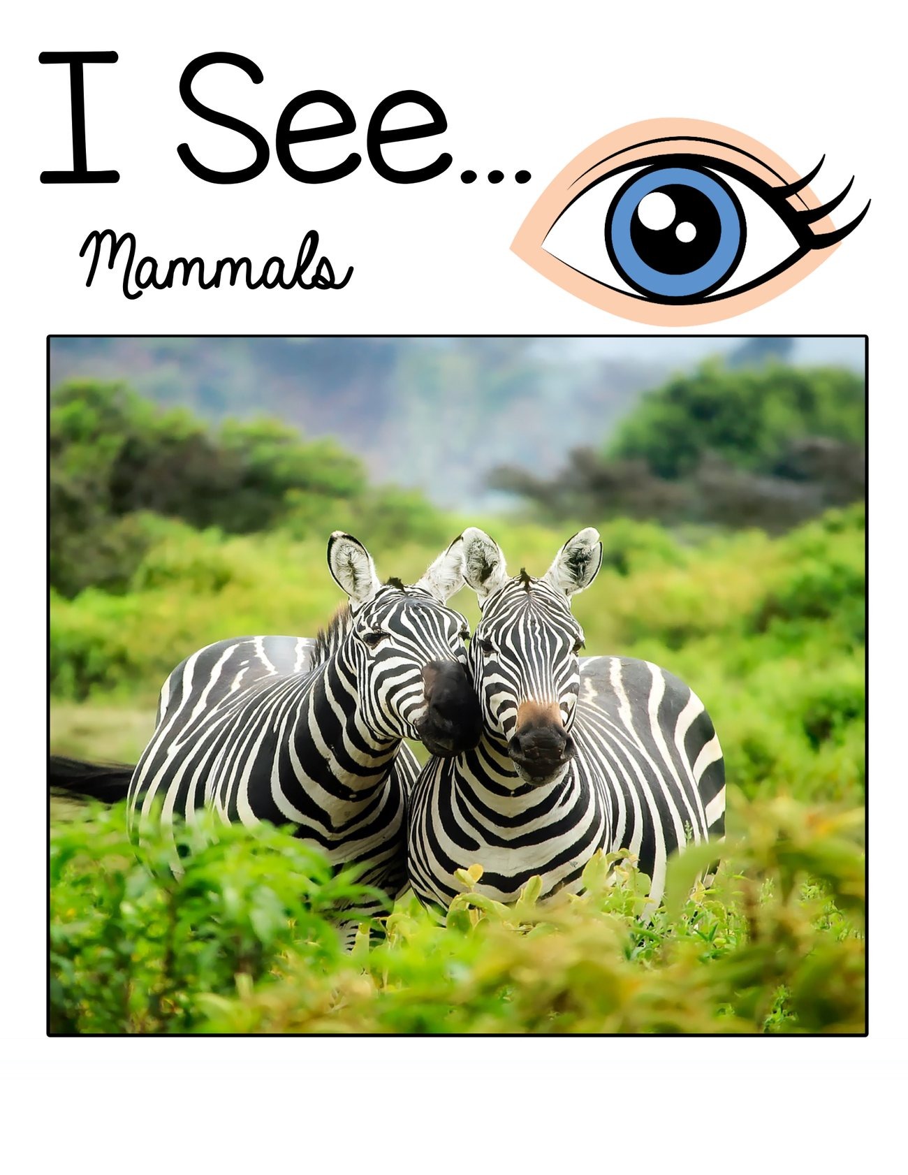 I See… Mammals digital adapted book for special education