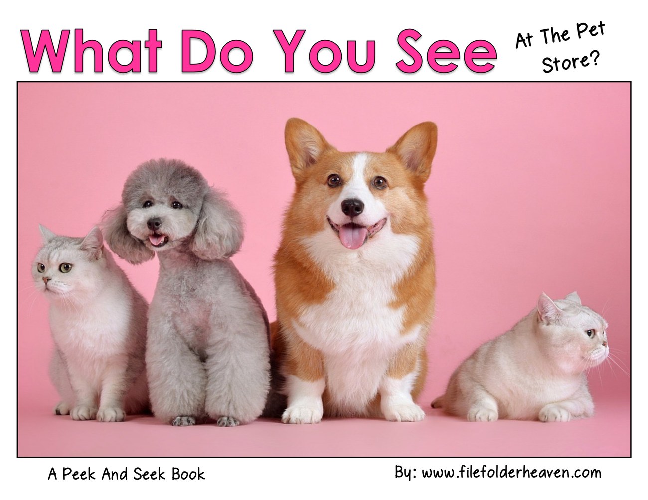 What Do You See At the Pet Store? interactive adapted book
