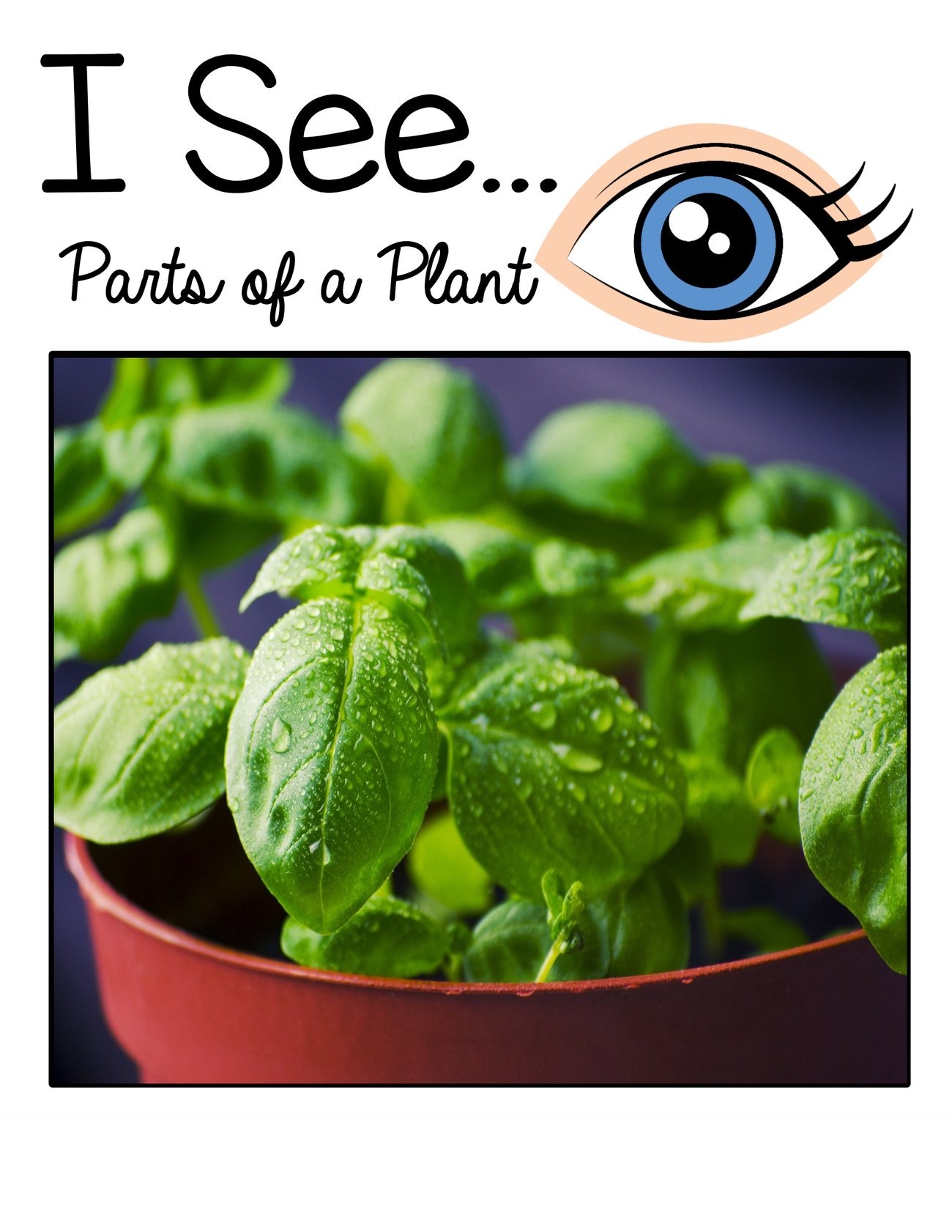 I See… Parts of a Plant interactive adapted book