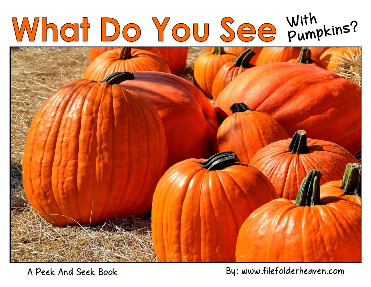 What Do You See With Pumpkins? interactive adapted book