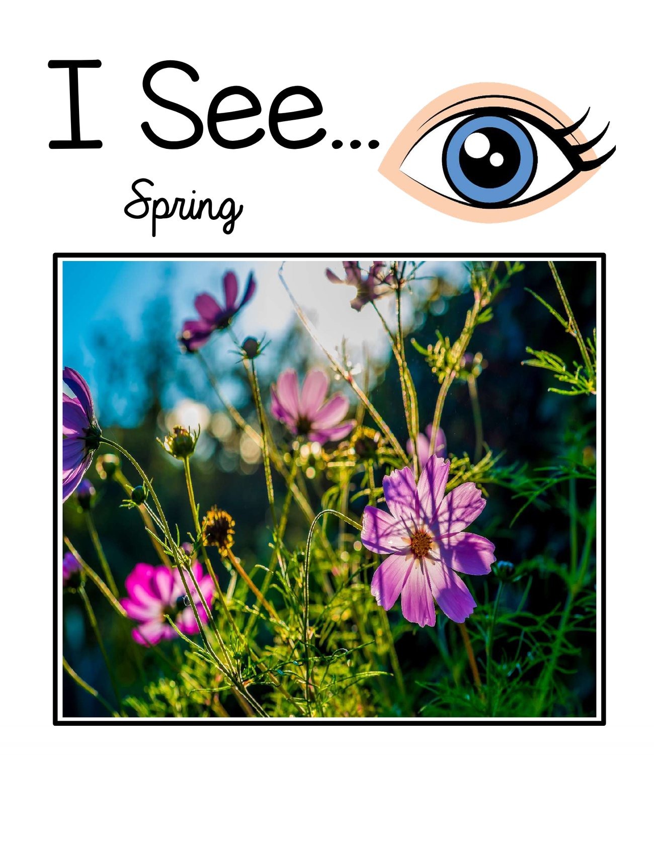 I See… Spring digital adapted book for special education