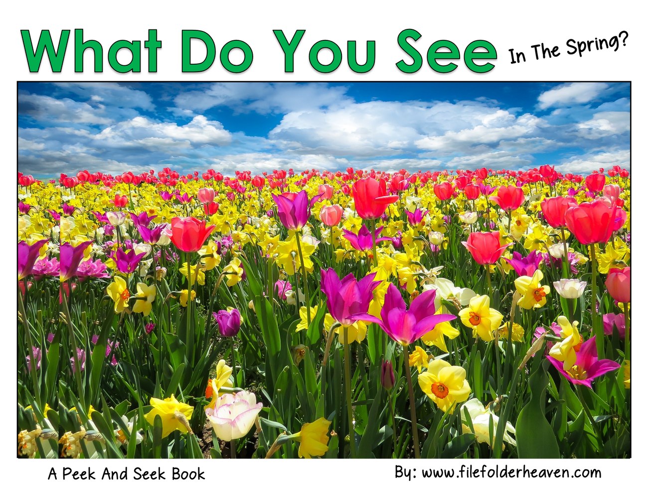 What Do You See In The Spring? interactive adapted book