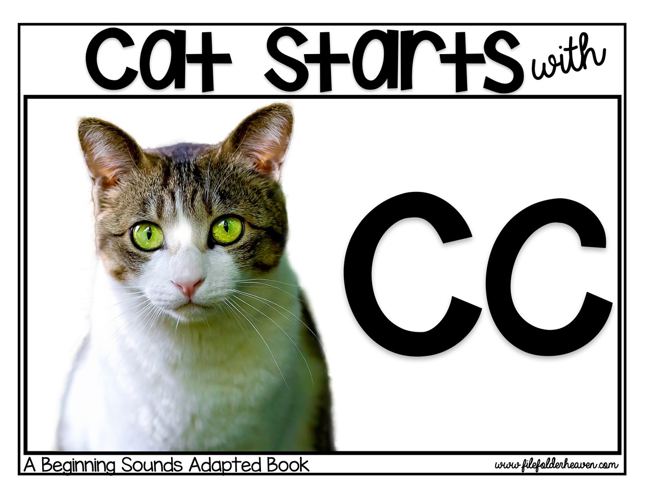 Cat Starts With C digital adapted book for special education