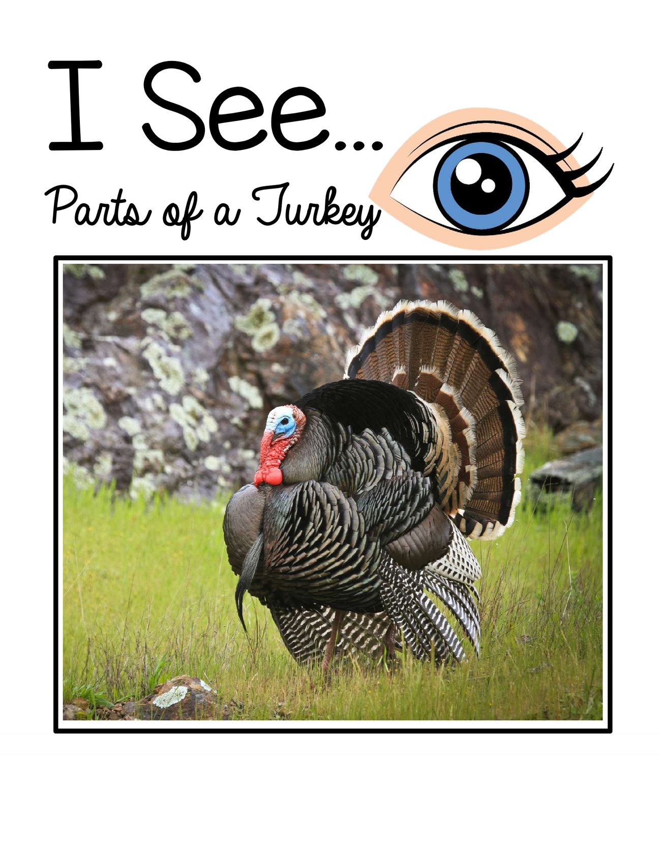 I See… Parts of a Turkey digital adapted book for special education