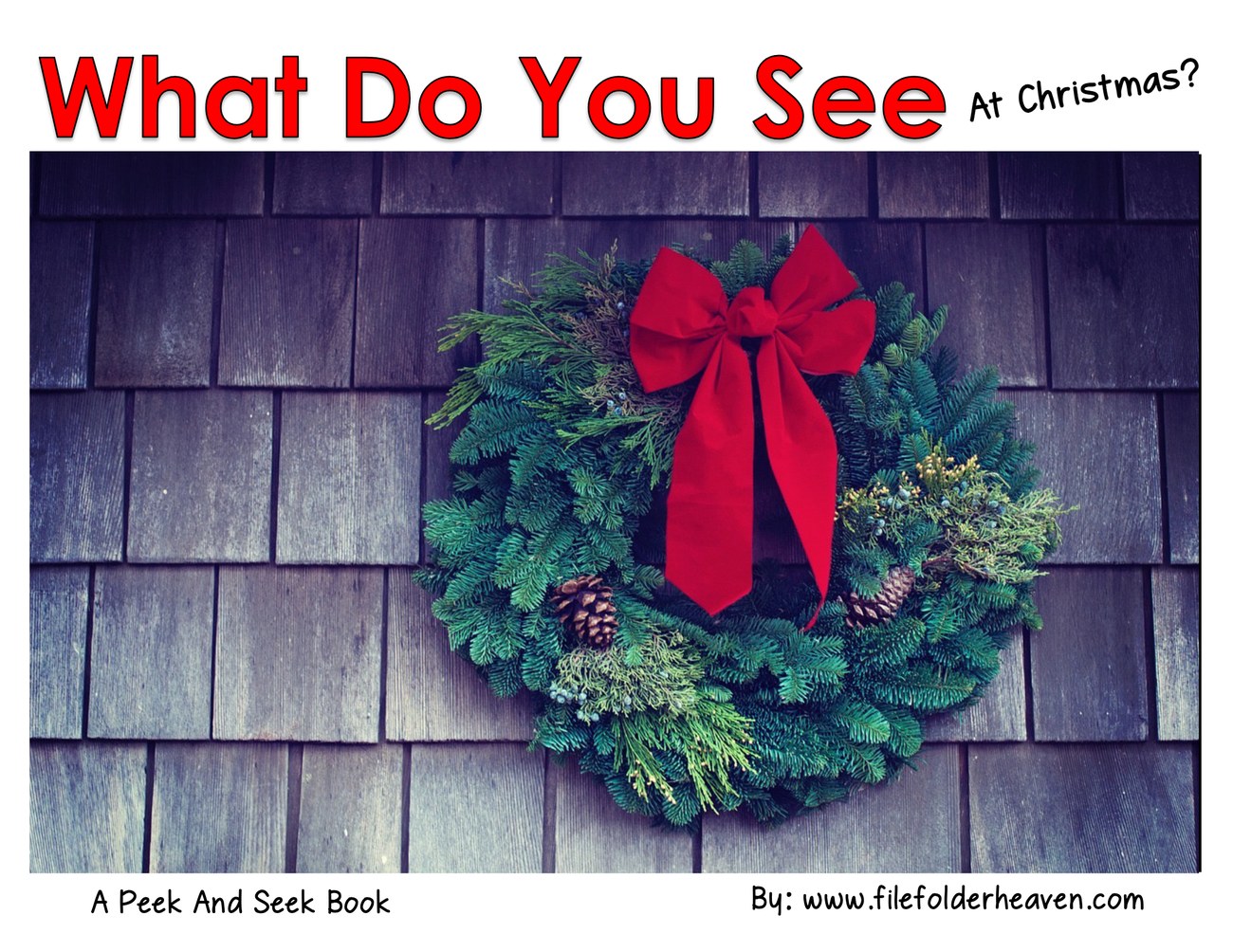 What Do You See At Christmas? interactive adapted book