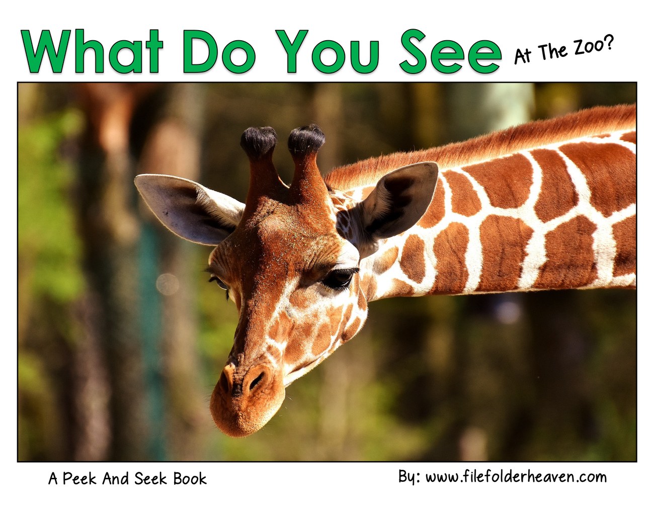 What Do You See At The Zoo? A Peek and Seek Book