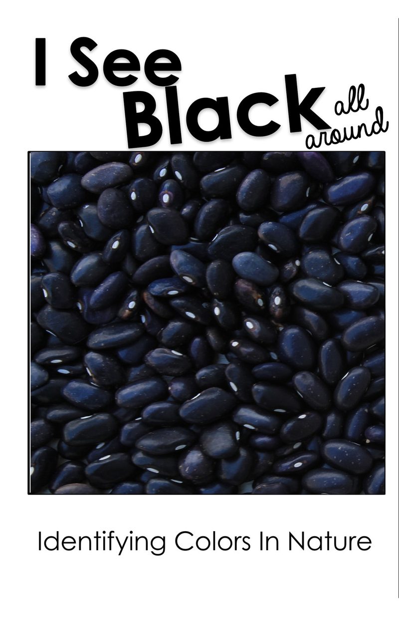 I See Black All Around interactive adapted book