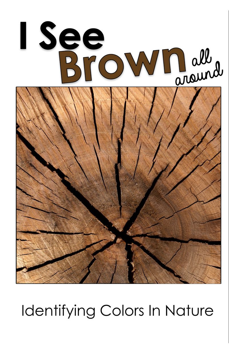 I See Brown All Around interactive adapted book