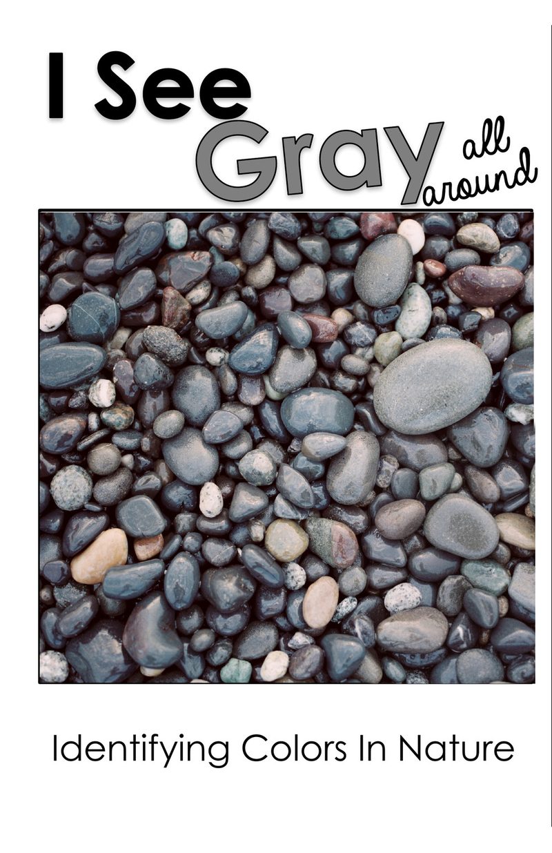 I See Gray All Around interactive adapted book