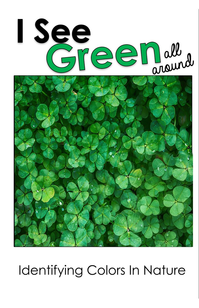 I See Green All Around interactive adapted book