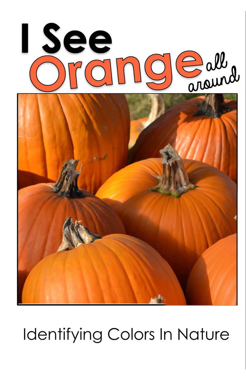 I See Orange All Around interactive adapted book