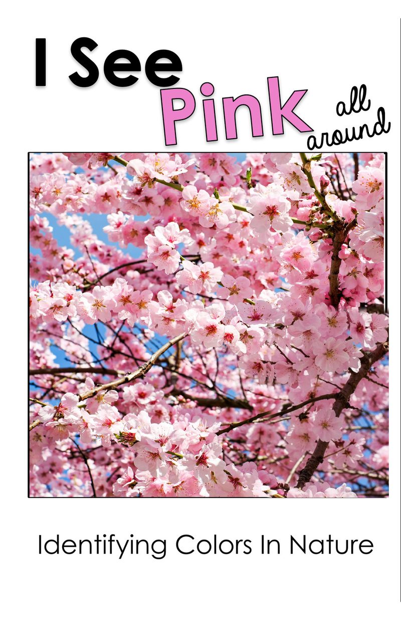 I See Pink All Around interactive adapted book