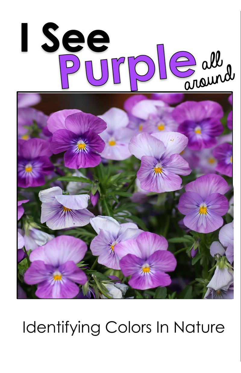 I See Purple All Around interactive adapted book