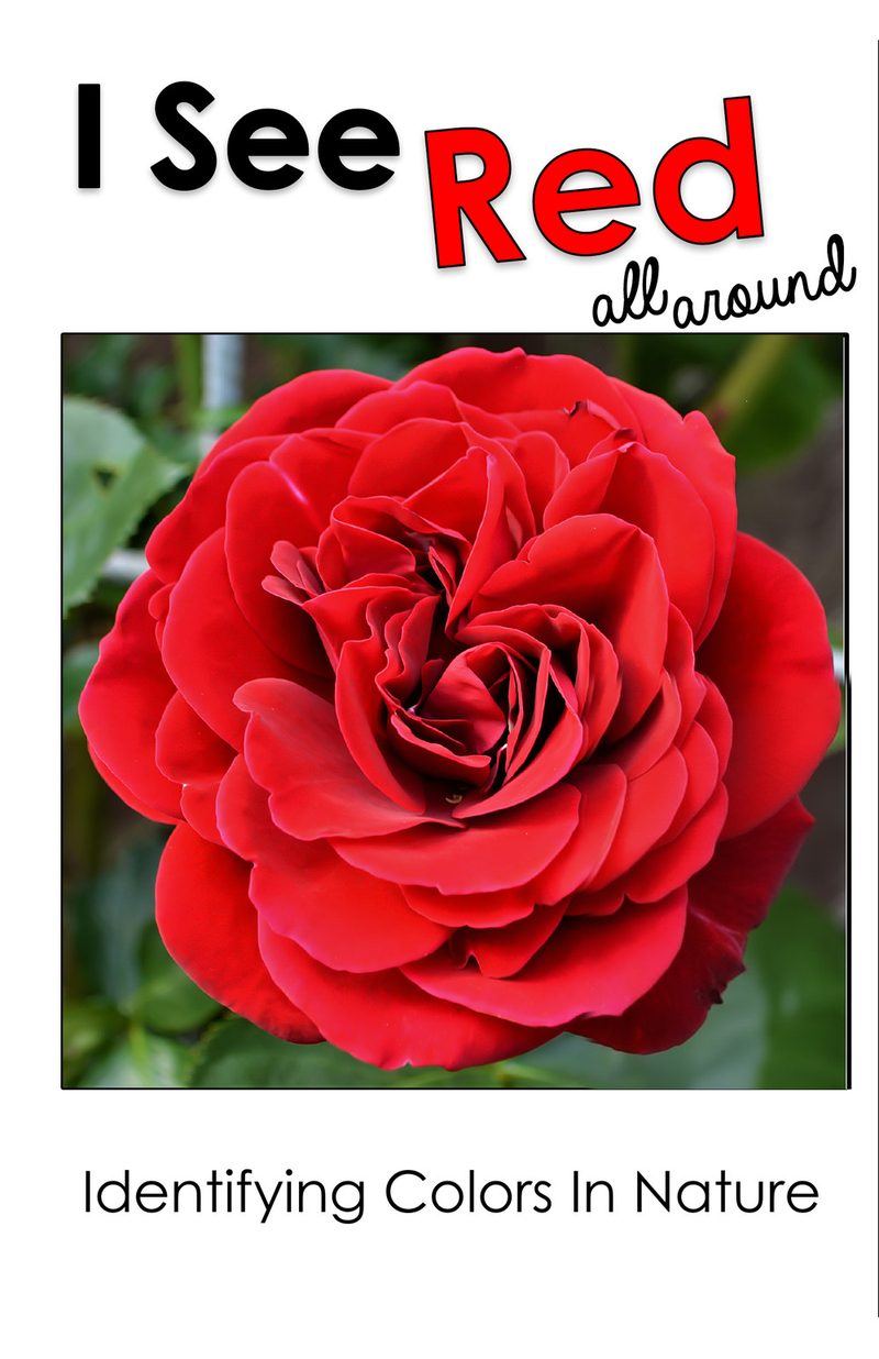 I See Red All Around interactive adapted book