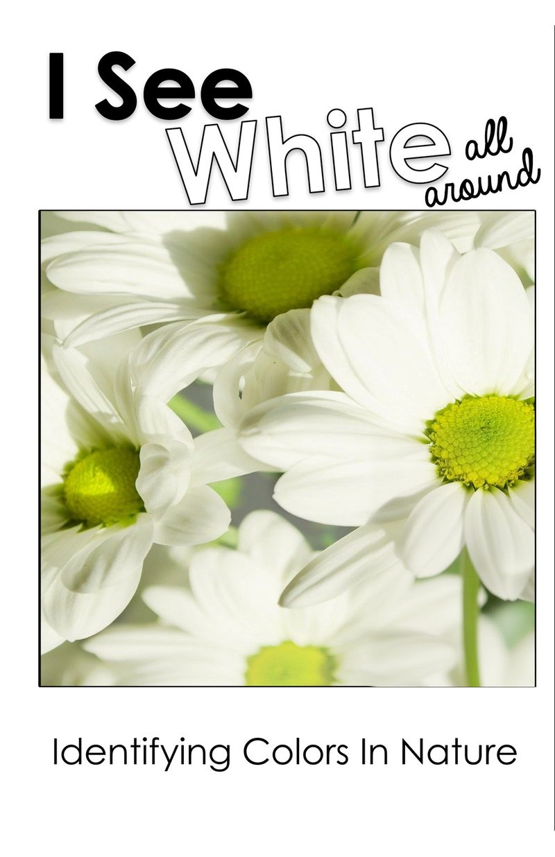 I See White All Around interactive adapted book