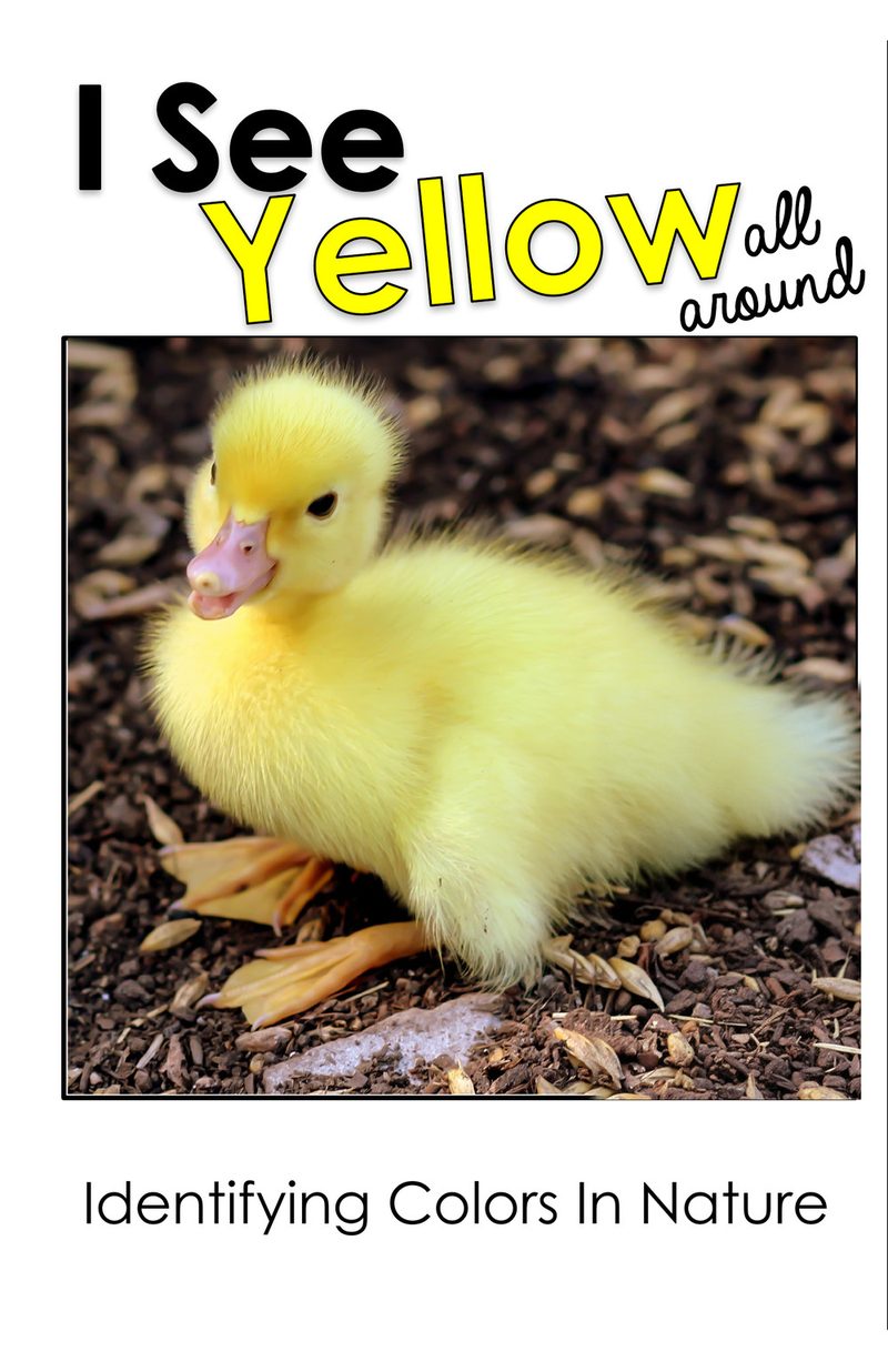 I See Yellow All Around interactive adapted book