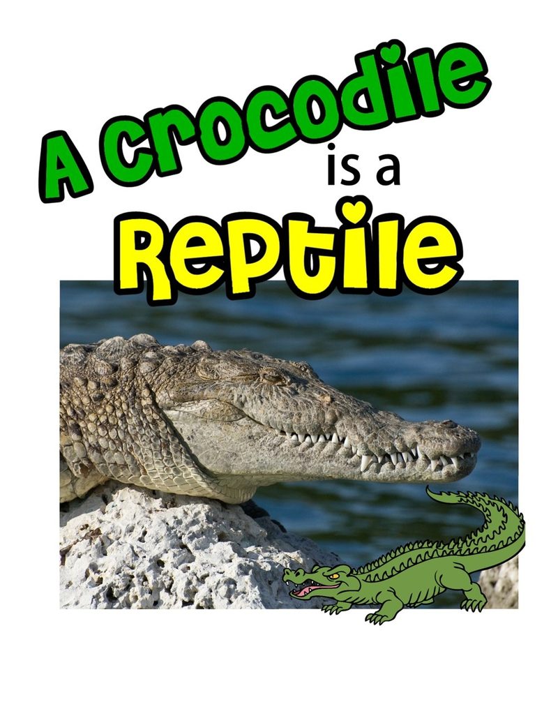 A Crocodile is a Reptile digital adapted book for special education