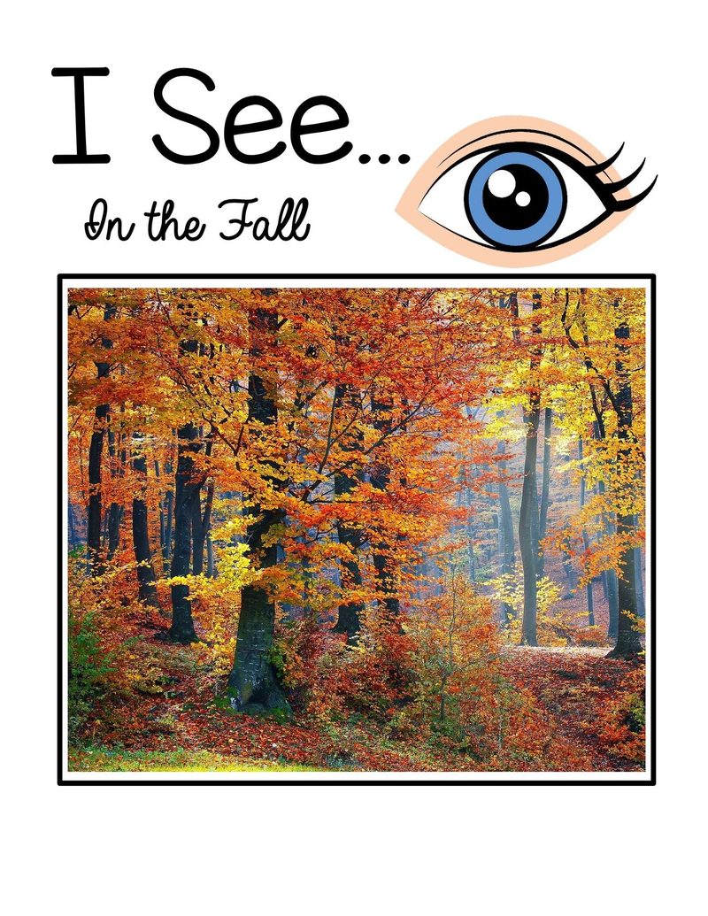 I See… In the Fall digital adapted book for special education