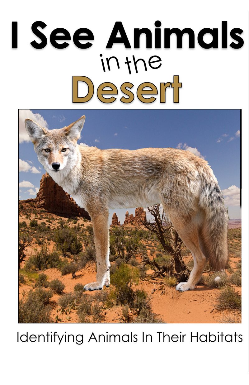 I See Animals in the Desert interactive adapted book