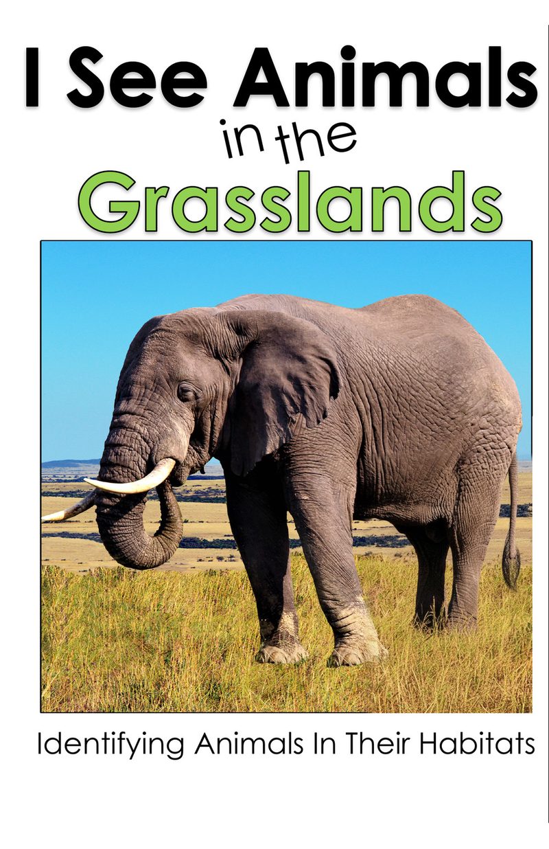 I See Animals in the Grasslands interactive adapted book