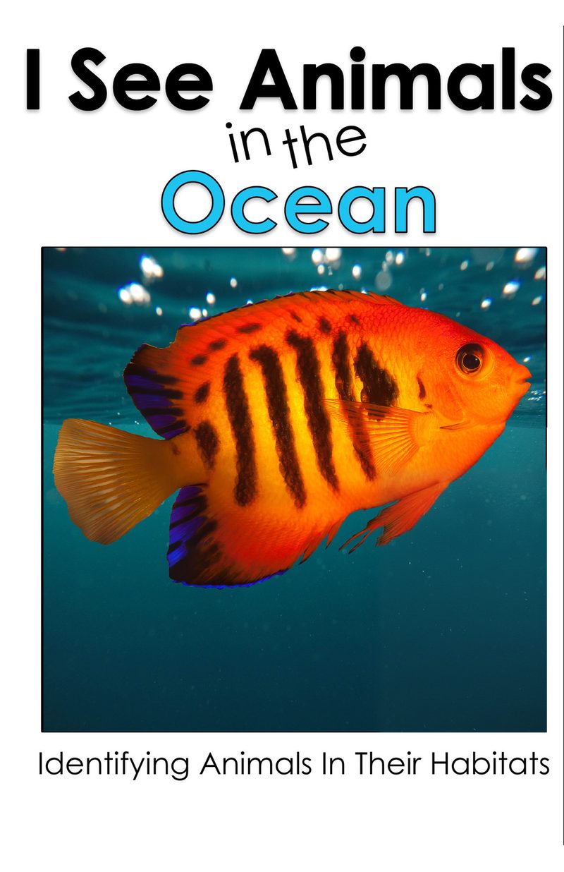 I See Animals in the Ocean interactive adapted book