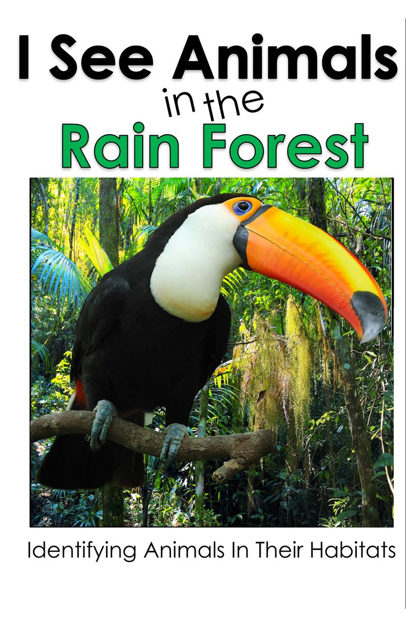 I See Animals in the Rain Forest interactive adapted book