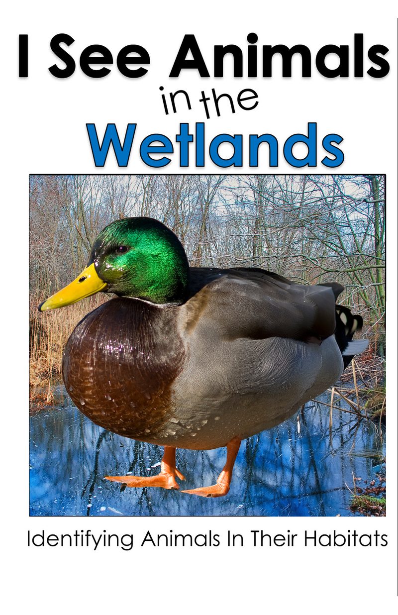 I See Animals in the Wetlands interactive adapted book