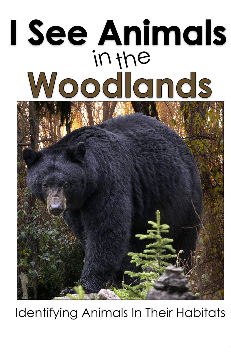 I See Animals in the Woodlands interactive adapted book