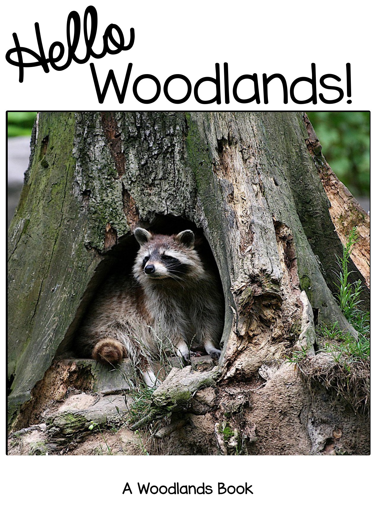 Hello Woodlands! digital adapted book for special education
