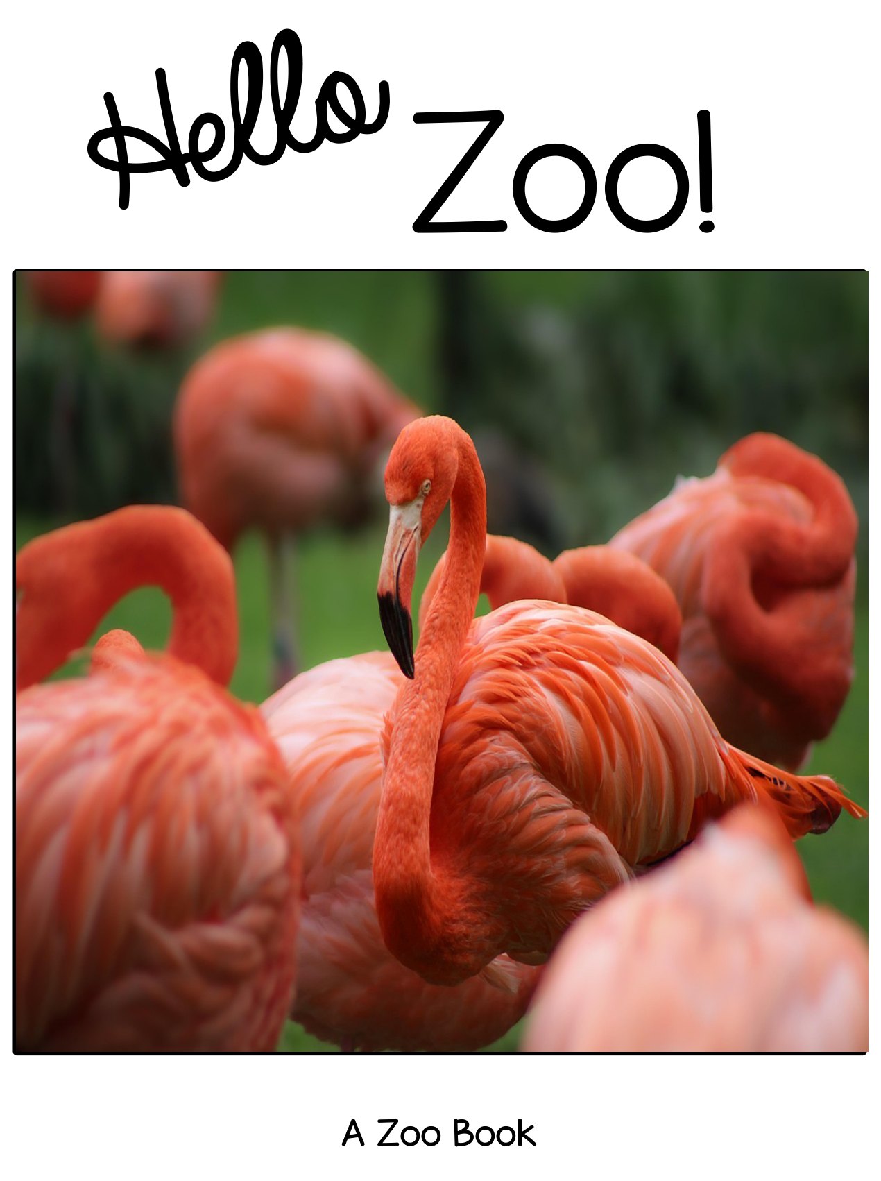 Hello Zoo! digital adapted book for special education