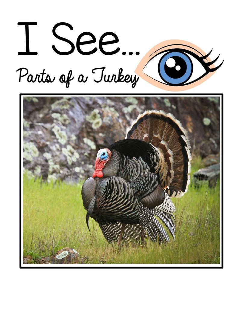 I See… Parts of a Turkey digital adapted book for special education